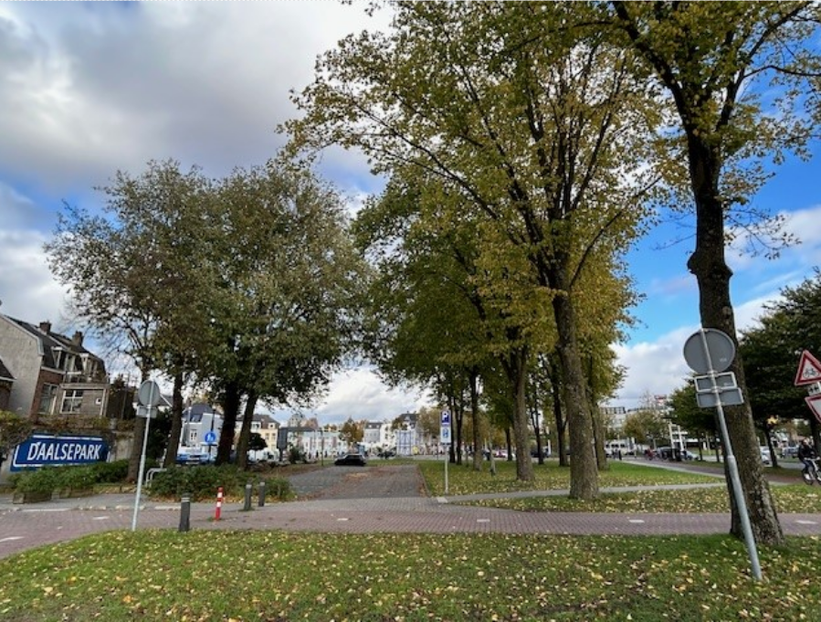 Foto van het Daalsepark. Links staan huizen en een straatnaambord 'Daalsepark'. Midden op de foto staan bomen van het Daalsepark met in het midden autoparkeerplaatsen. Rechts een fietspad en voetpad.