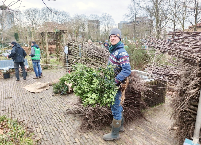 man die zaailingen ophaalt