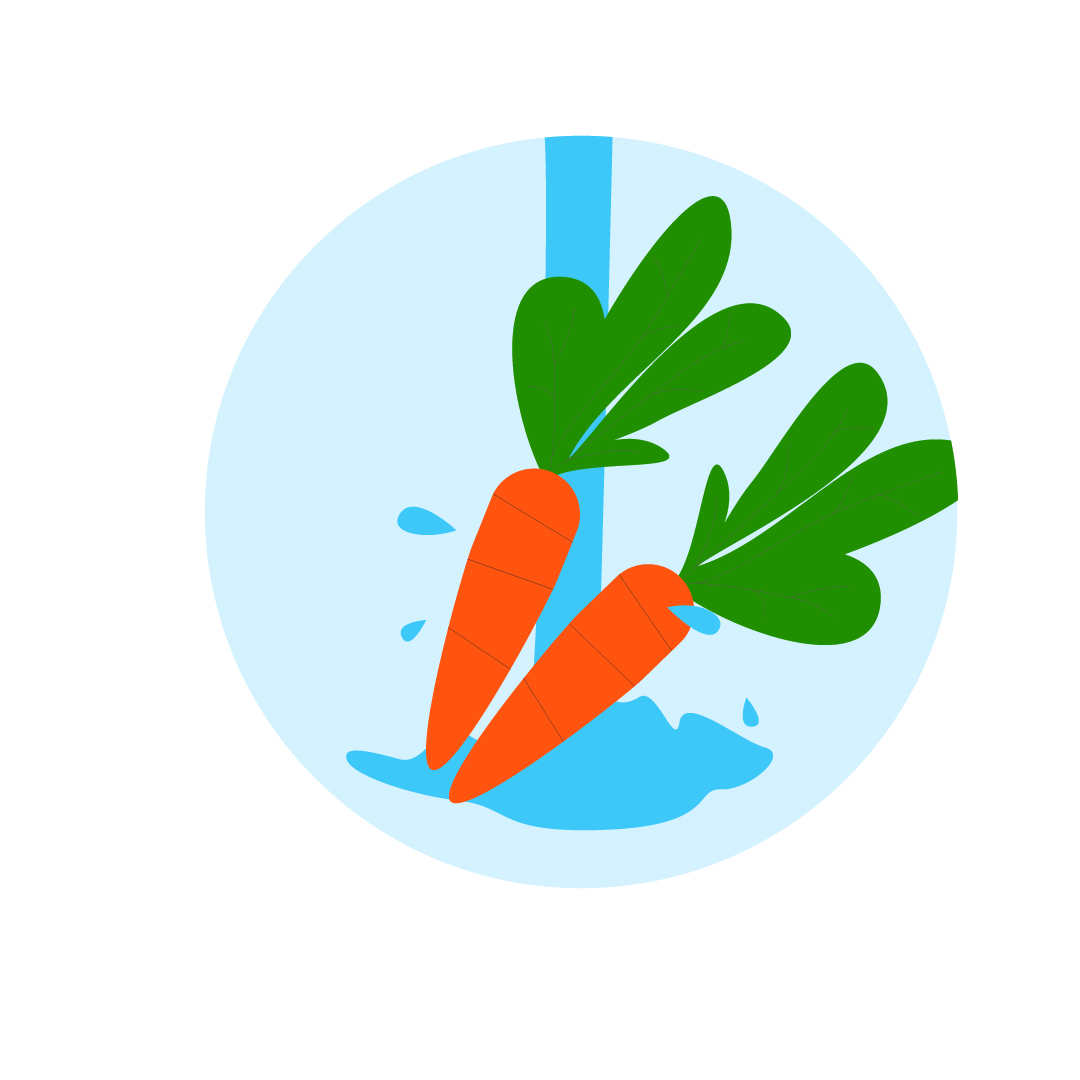 tekening van wortels die gewassen worden