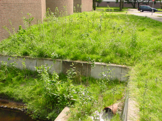 ingang buis Moldaudreef Ingang buis Moldaudreef