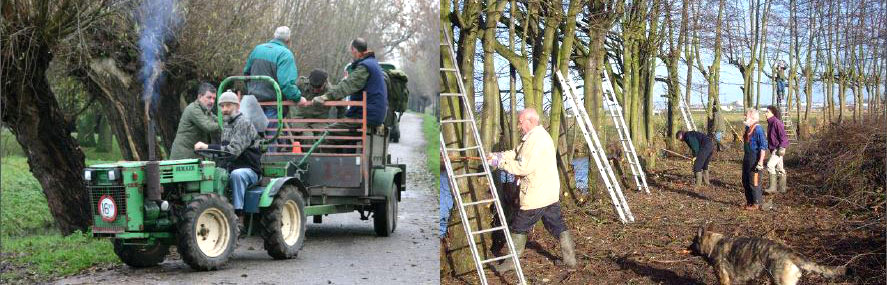 Vrijwillegers aan het werk in het Maximapark