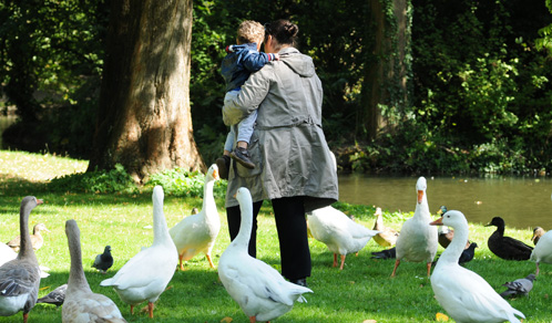 Moeder met kind op de arm tussen de eenden en ganzen in park Oog in Al
