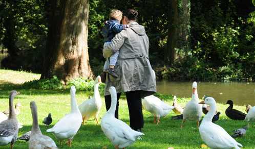 Moeder met kind op de arm tussen de eenden en ganzen in park Oog in Al Moeder met kind op de arm tussen de eenden en ganzen in park Oog in Al